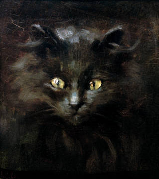 portrait einer katze tierportrait julius adam katzenmaler