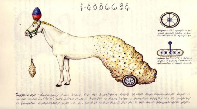 voynich manuskript