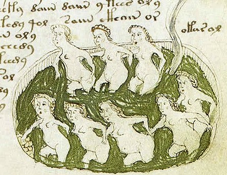 voynich manuscript illustrationsbeispiel - wiki-pd