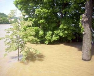 hochwasser-meissen-06-06-2013-um-12-59-uhr (13)
