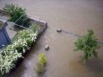 hochwasser-meissen-08-06-2013-13-uhr