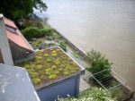 hochwasser-meissen-08-06-2013-13-uhr