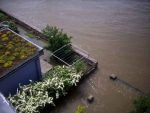 hochwasser-meissen-08-06-2013-13-uhr