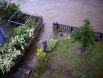 hochwasser-meissen-09-06-2013-16-uhr