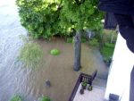 hochwasser-meissen-elbe-flut-blick-vom-toma-balkon-05-06-2013