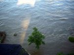 hochwasser-meissen-elbe-flut-blick-vom-toma-balkon-05-06-2013