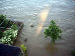 hochwasser-meissen-elbe-flut-blick-vom-toma-balkon-05-06-2013